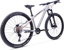 EIGHTSHOT X-COADY 275 Disc / 10-speed Deore, grey