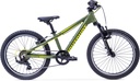 EIGHTSHOT X-COADY 20 FS / 7-speed suspensión, verde