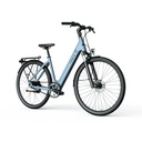 TENWAYS CGO800S bicicleta eléctrica (Azul)