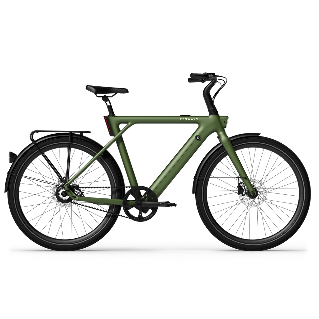 TENWAYS CGO009 electric bicycle