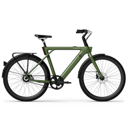 TENWAYS CGO009 electric bicycle